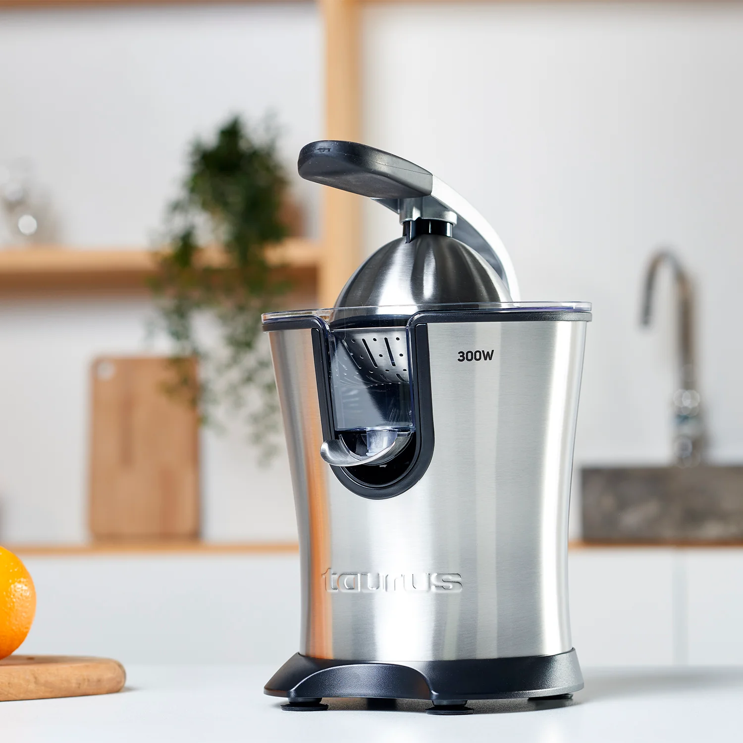 CITRUS 300 LEGEND - Image 4