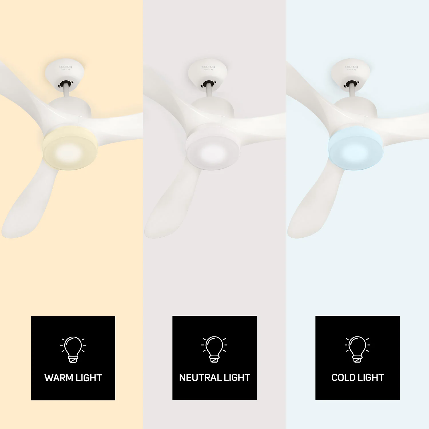 FRESKO PURE 3B - Image 4