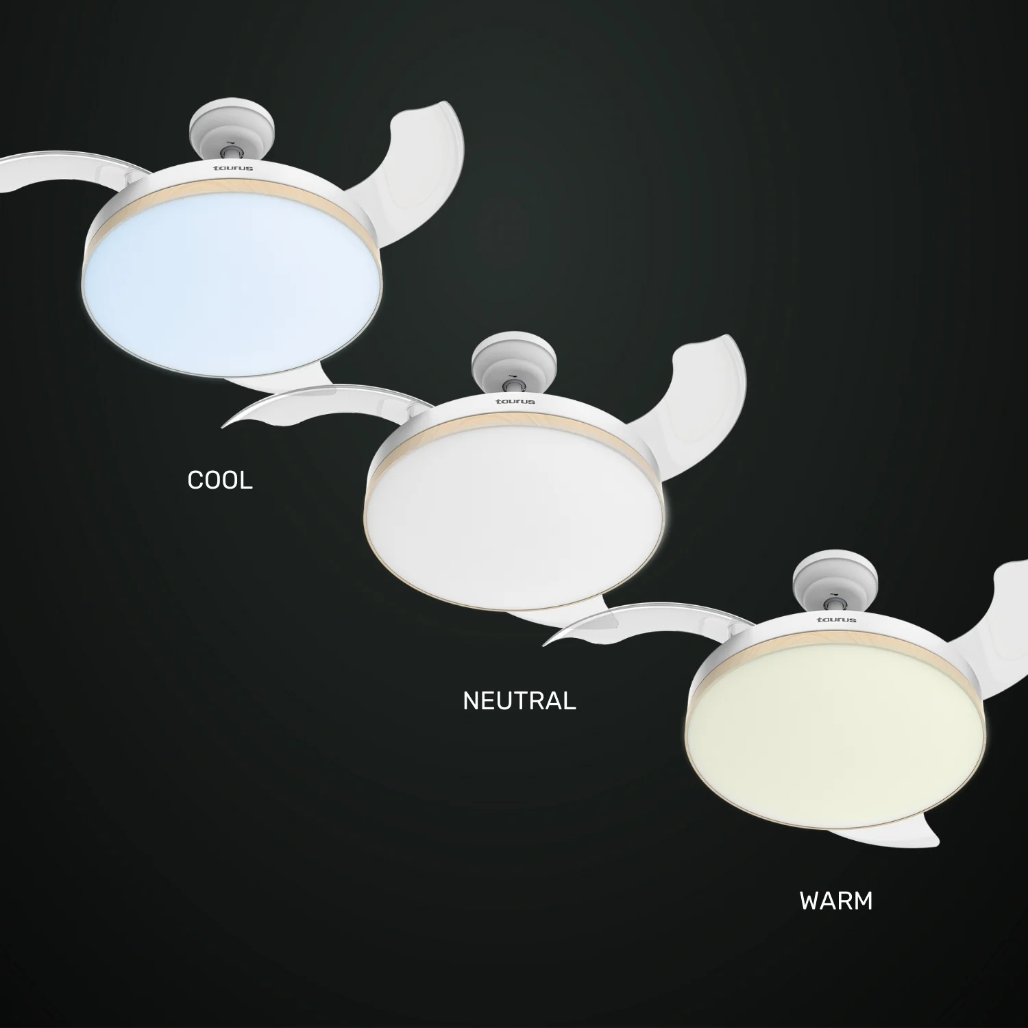 POLAR INVISIBLE - Image 6